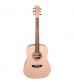 Washburn WD7S Dreadnought Acoustic Guitar with Pink Top