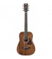 Ibanez Artwood AW54 Mini Acoustic in Natural Finish