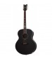Schecter Synyster Gates J Acoustic in Black