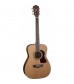 Washburn HF11S Acoustic Guitar