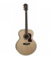 Washburn HJ40S Acoustic Guitar