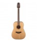 Takamine GD20-NS Dreadnought Acoustic Guitar in Natural