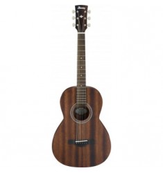 Ibanez AVN2 Artwood Parlour Guitar in Natural