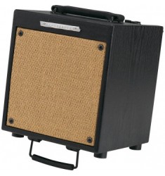 Ibanez T20 Troubadour Acoustic Amplifier Combo