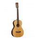 Tanglewood Java TWJP-E Series Electro Acoustic Guitar